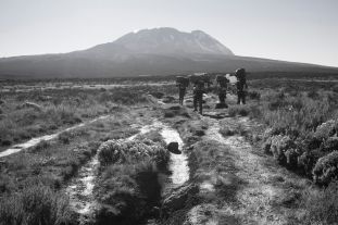 Mount Kilimanjaro - Kili Footprints